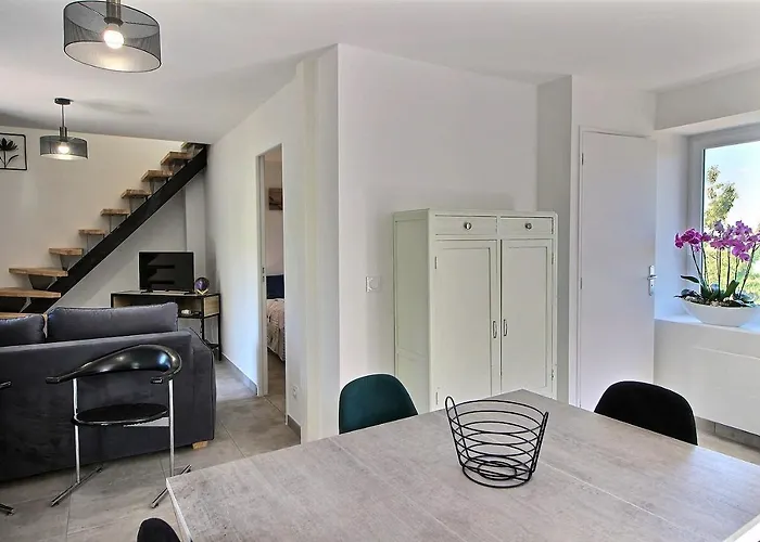 Apt Type 3 En Duplex Sur Evian Les Bains Vue Lac